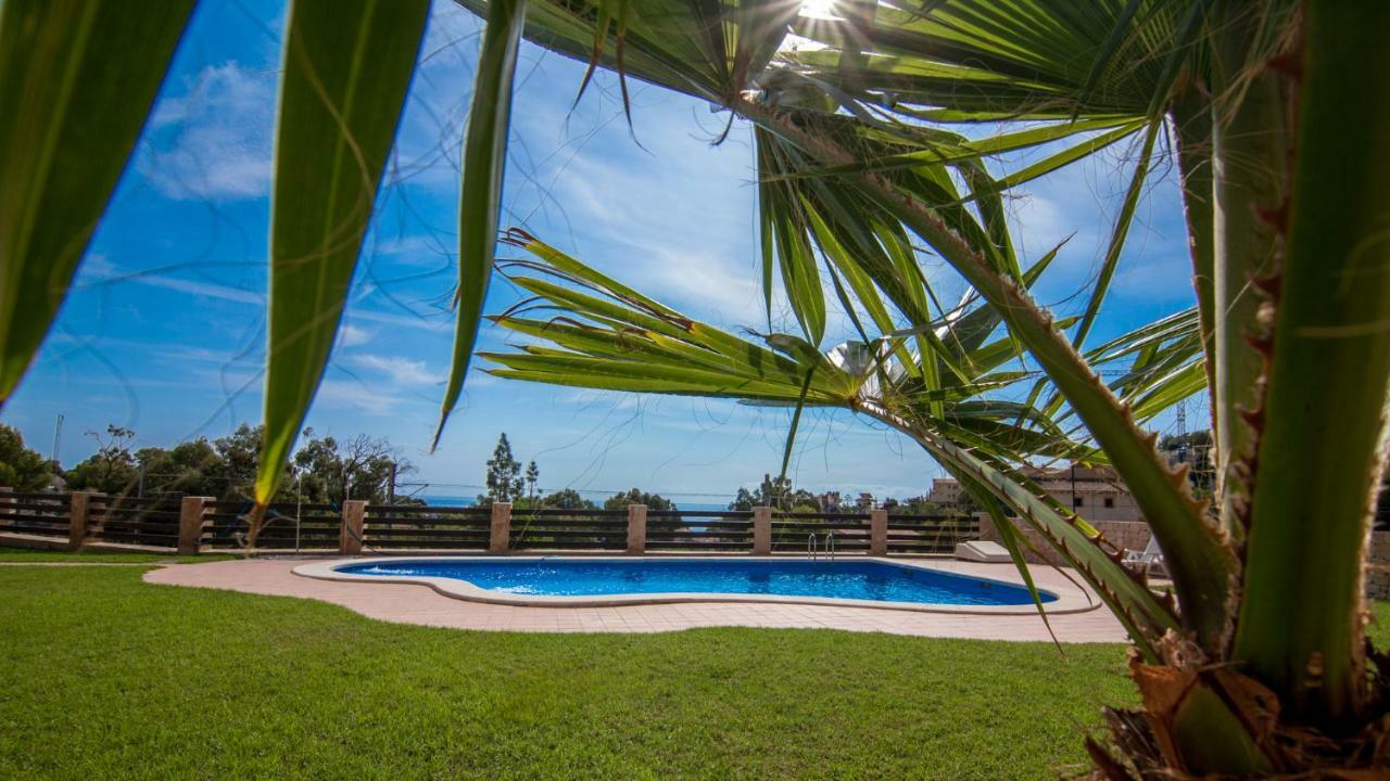 Villa Paradise Campello 엘 캄펠로 외부 사진